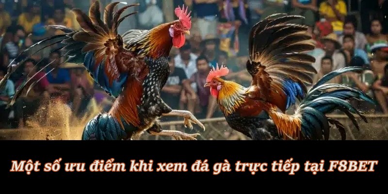 Đa dạng kèo cược, tỷ lệ minh bạch và hấp dẫn